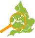 uk